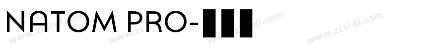 NATOM PRO字体转换 NATOM PRO字体转换